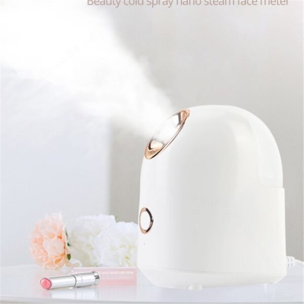 Beauty Steamer - Image 10